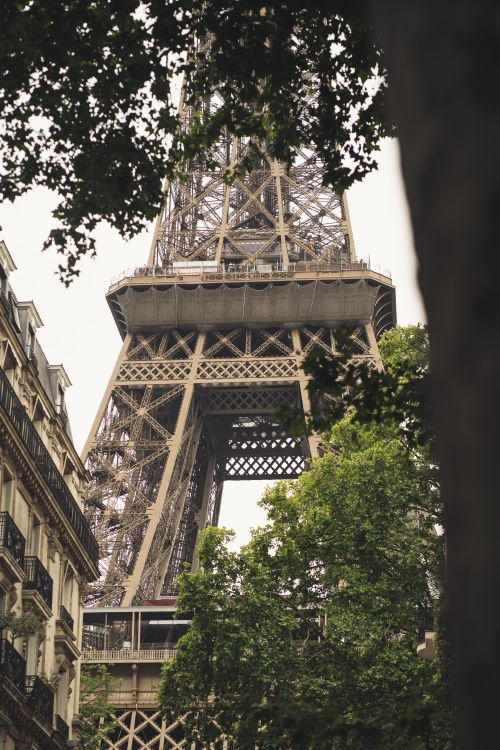 Free Iconic Eiffel Tower view framed by Parisian trees and architecture capturing the essence of France. Stock Photo
