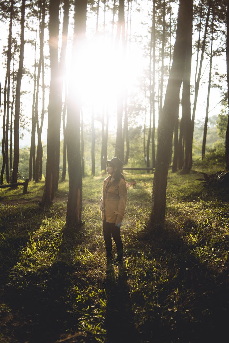 Woman Walking In Green Forest On Sunset