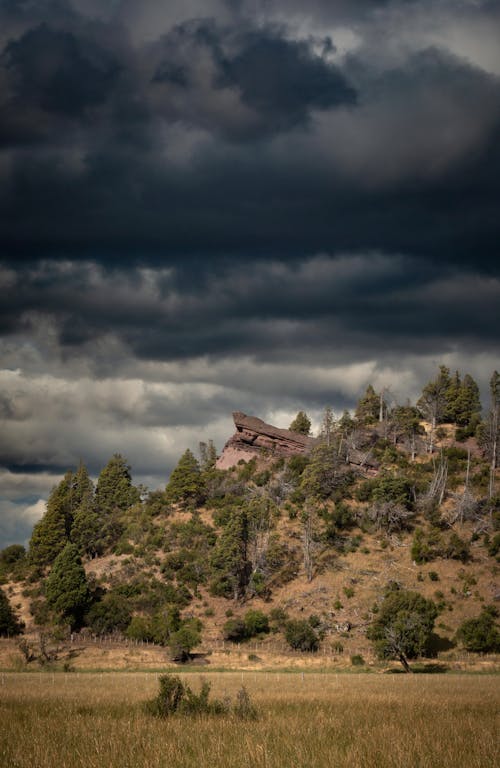 Landscape of a Meadow and a Hill with Trees under Dark Clouds 