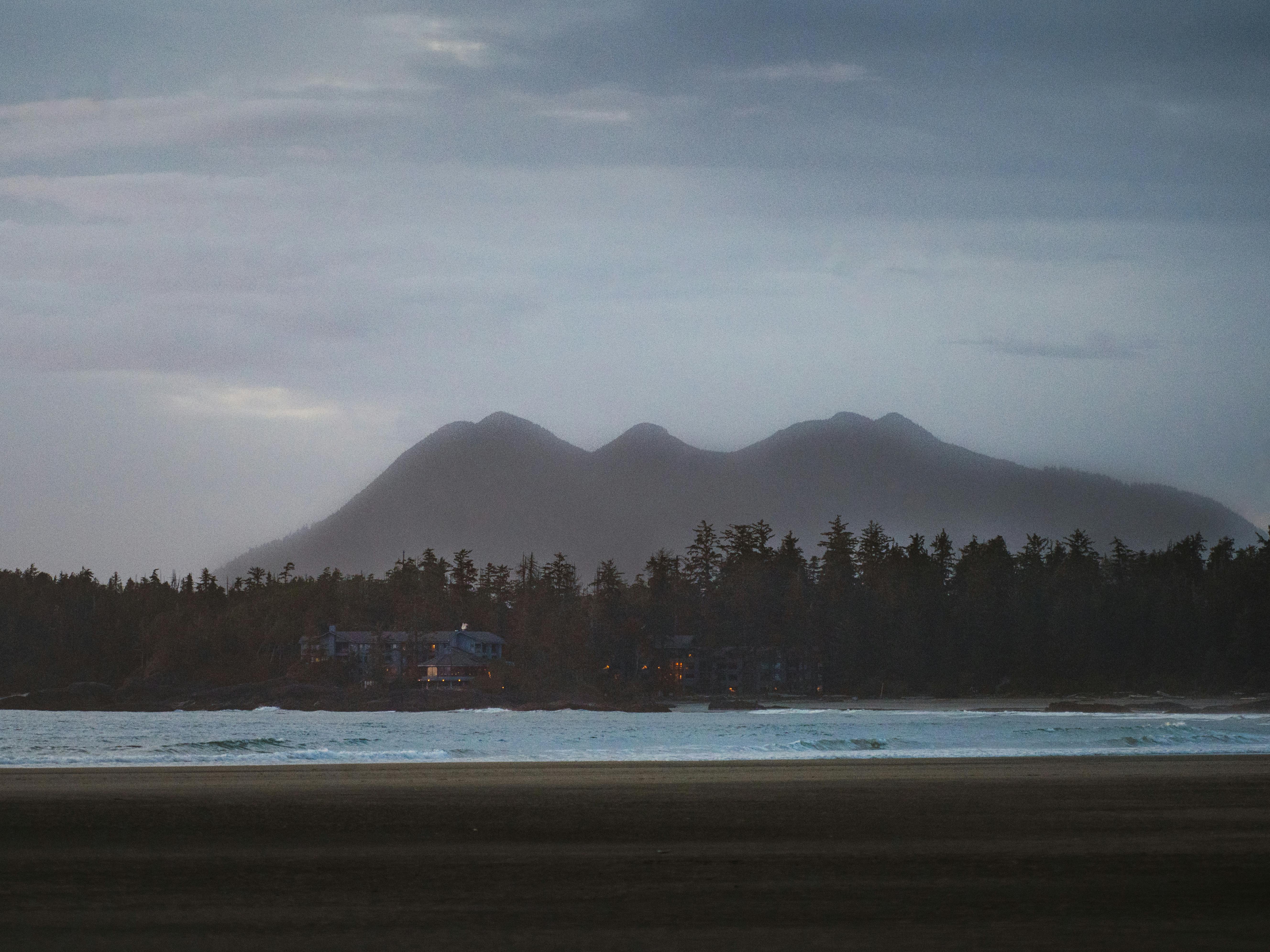 Tofino
