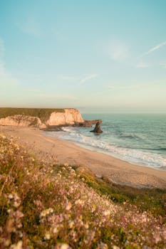 Beautiful sunset at a coastal beach in Santa Cruz, CA with cliffs and wildflowers.