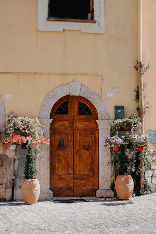 Entrance Decorated with Potted Plants