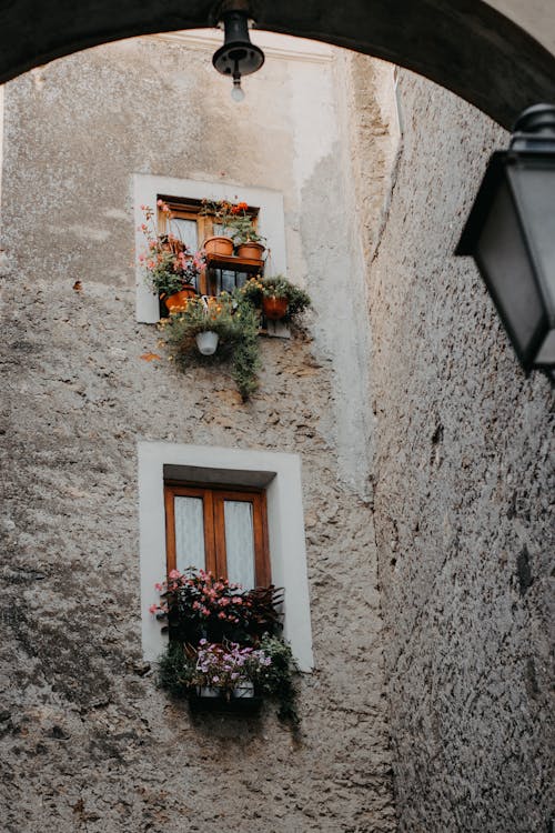 Windows Decorated with Flowers