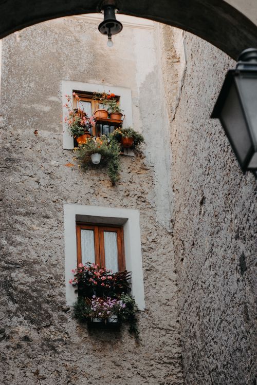 Free Rustic stone building facade with vibrant potted plants and flowers in window boxes. Stock Photo