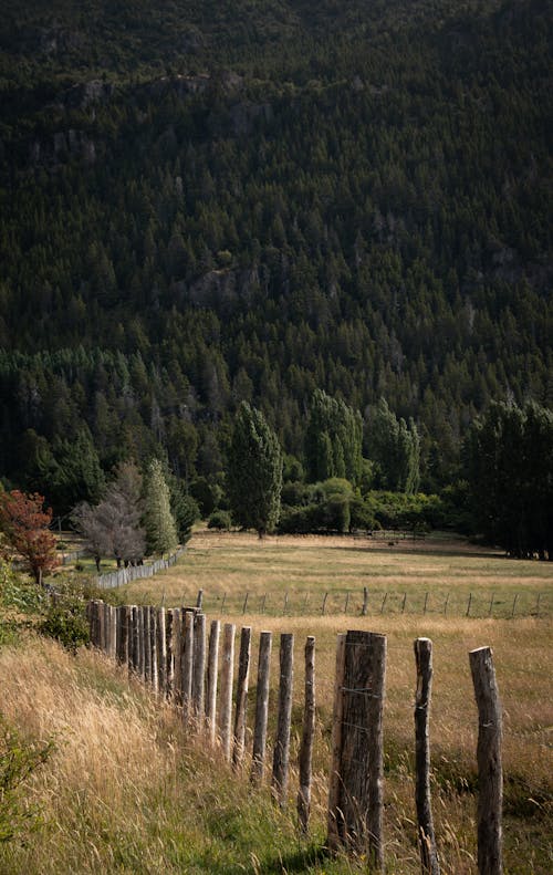 Fields with Wooden Fence Near Hillside