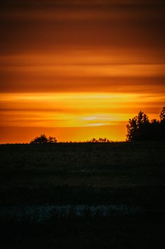 A breathtaking silhouette of trees at sunset with a warm yellow sky over the rural countryside.