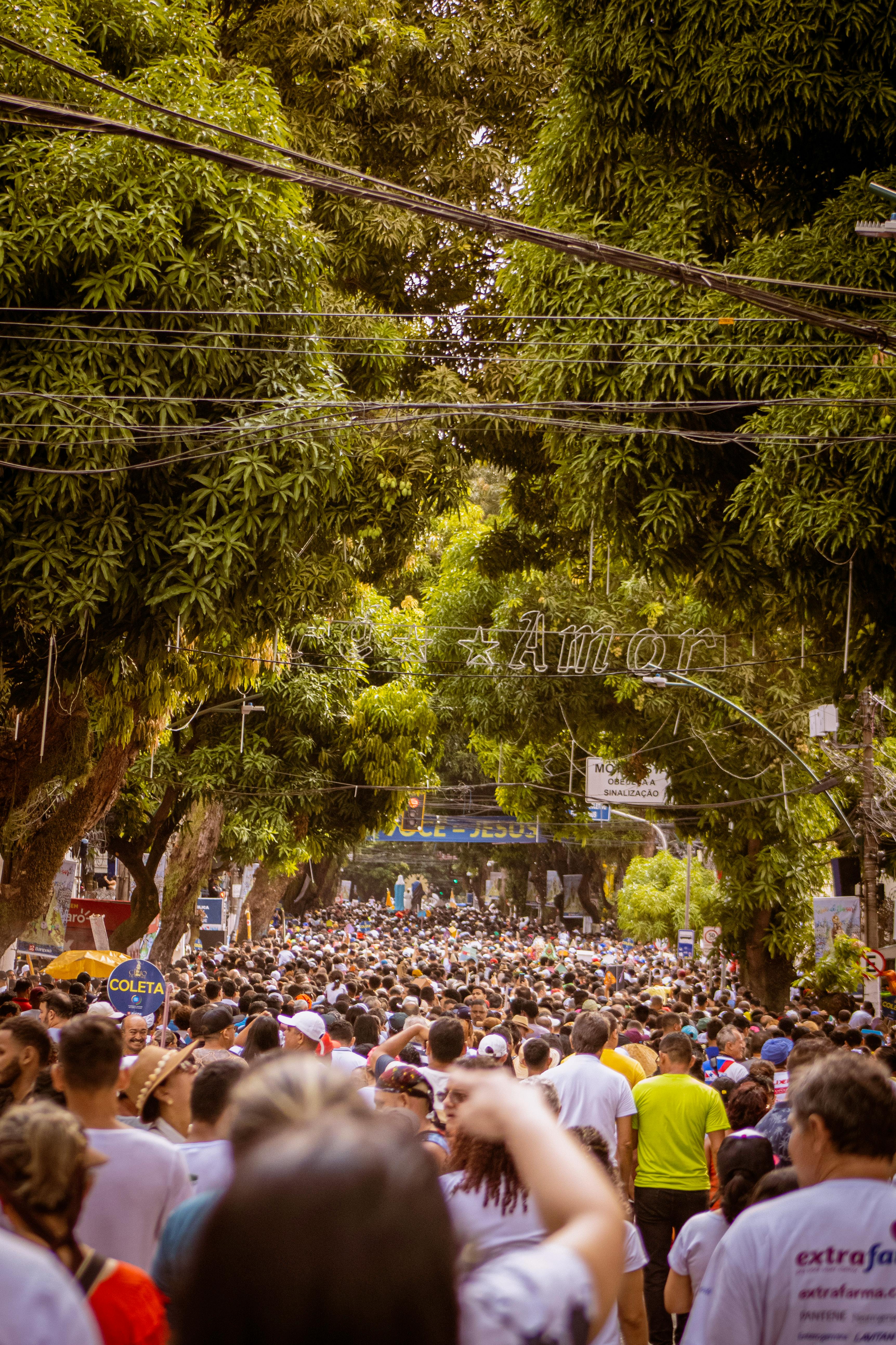 A large festival crowd under verdant trees in daylight with visible power lines.