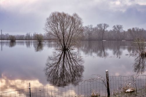 Free A tranquil winter scene with reflective water and bare trees in Weaver, MN. Stock Photo