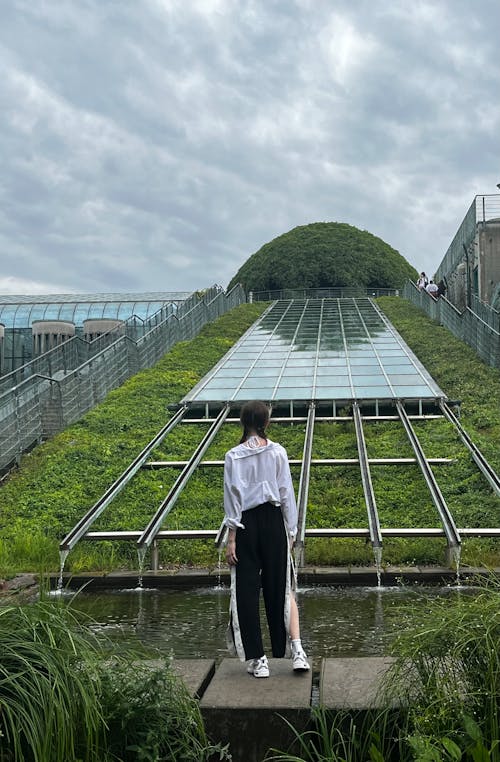 大学花园, 屋顶上的花园, 植物园 的 免费素材图片