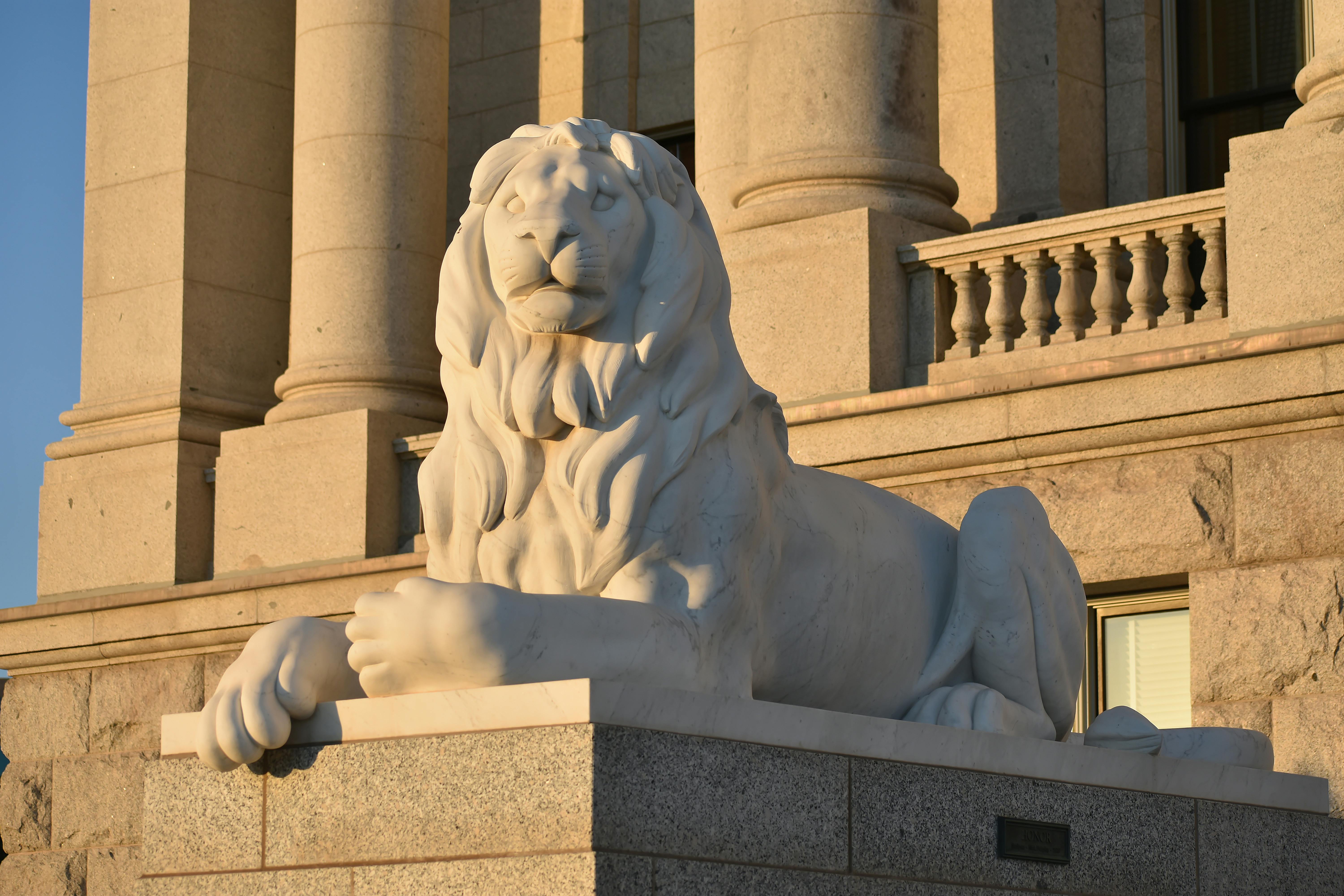 Idaho lawmakers eye reforms to child custody laws — Photo by I Bautista on Pexels