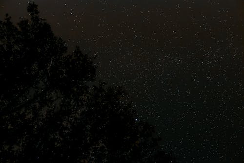 Photos gratuites de canon, étoiles filantes, fond d'écran 4k