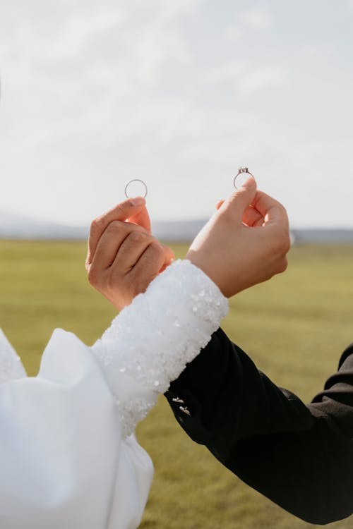 Základová fotografie zdarma na téma burza, držení, horizont