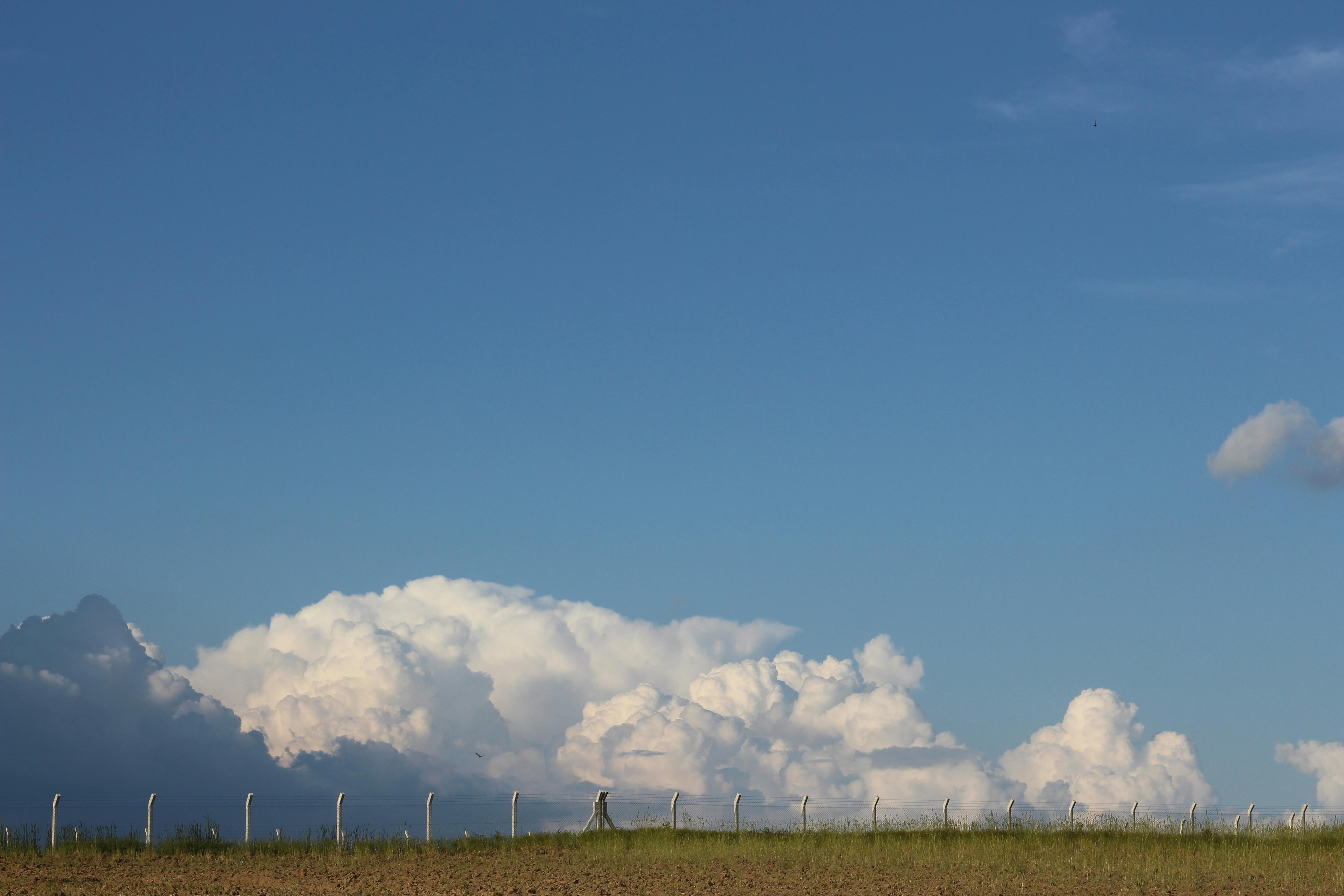 Vast rural landscape with cumulus clouds and a clear blue sky, perfect for backgrounds.