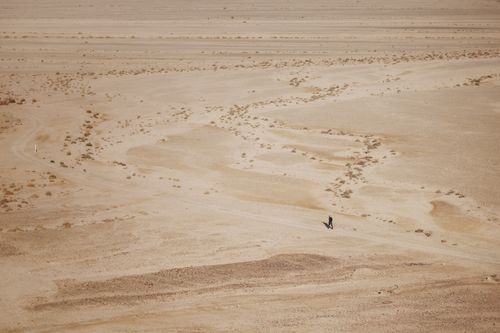 Free A lone figure walks across a vast desert landscape, emphasizing solitude and nature's expanse. Stock Photo
