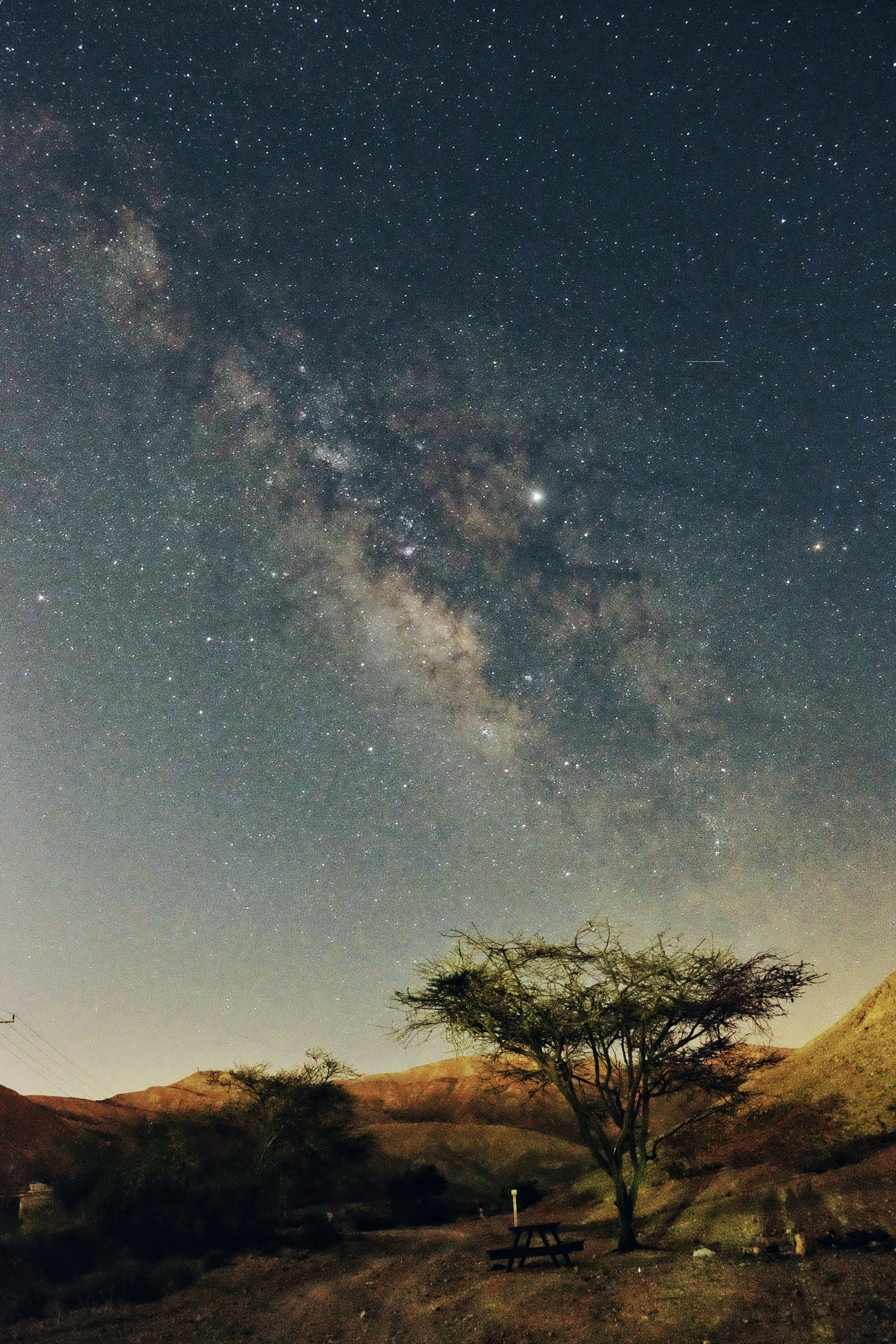 Beautiful long exposure of the Milky Way over a serene desert with trees.