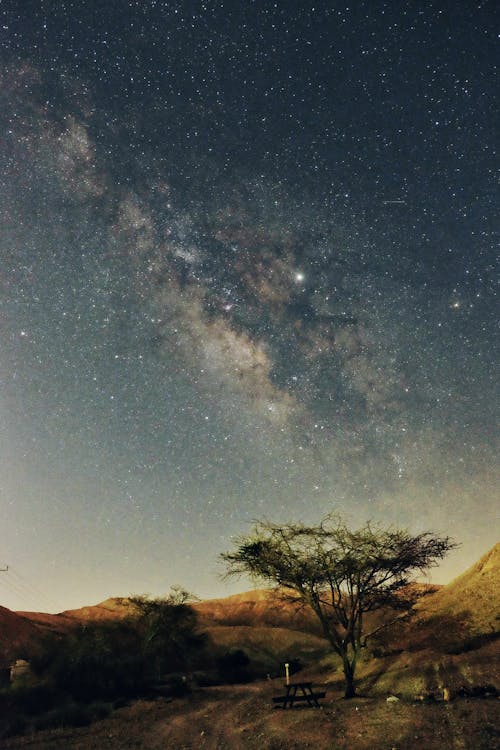 Landscape and a Night Sky with Stars