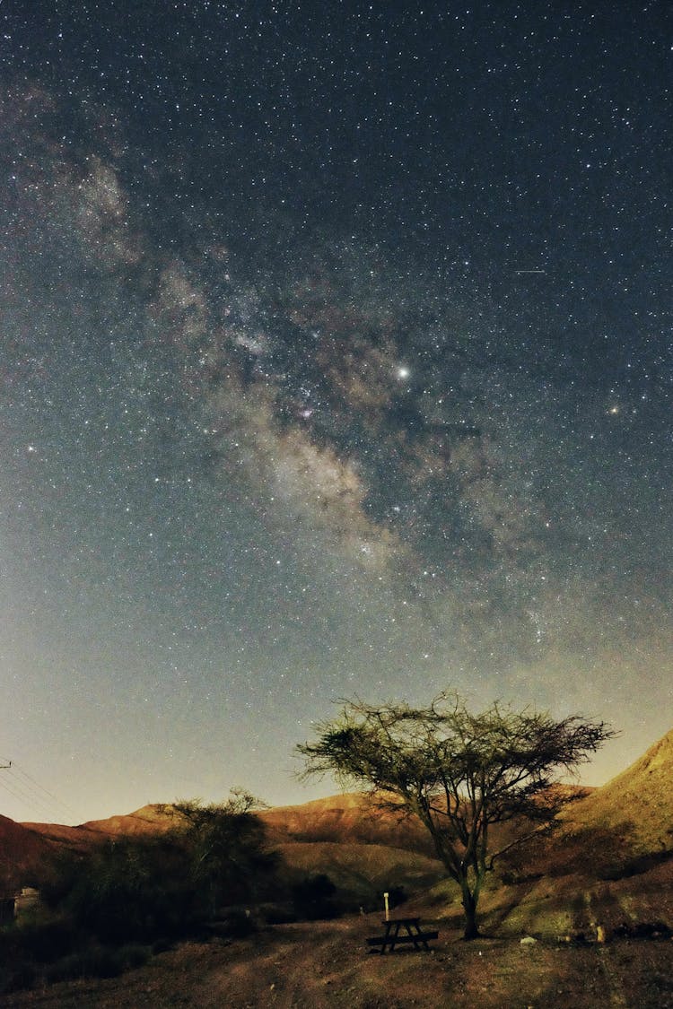 Landscape And A Night Sky With Stars