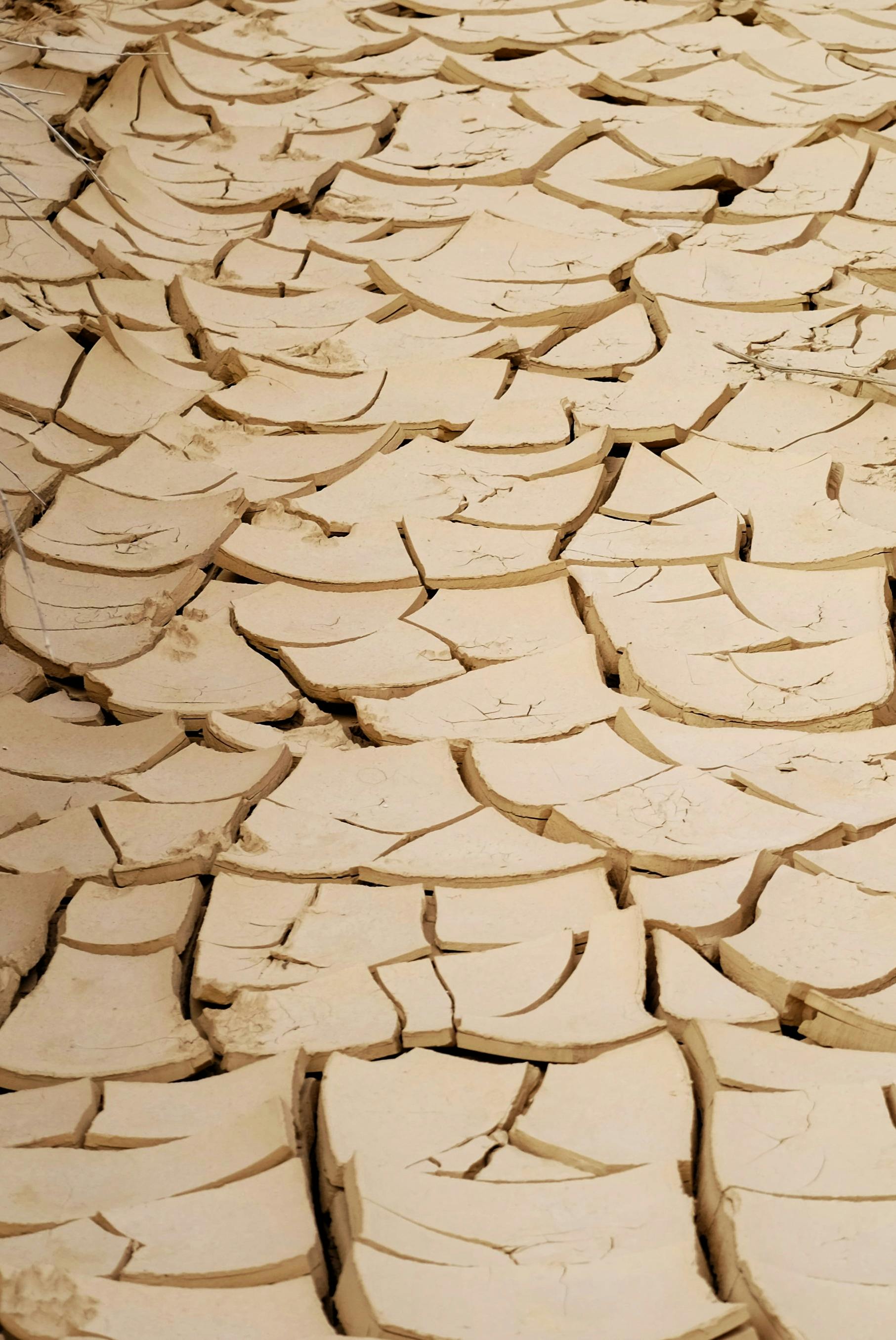 Close-up vertical shot of cracked, dry earth, illustrating drought and desert conditions.