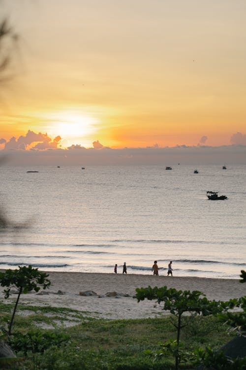 Seascape at Sunset 