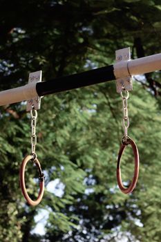 Gymnastics rings hanging from a pull-up bar in a green outdoor setting.