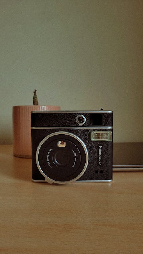 A Vintage Camera and a Flower Pot