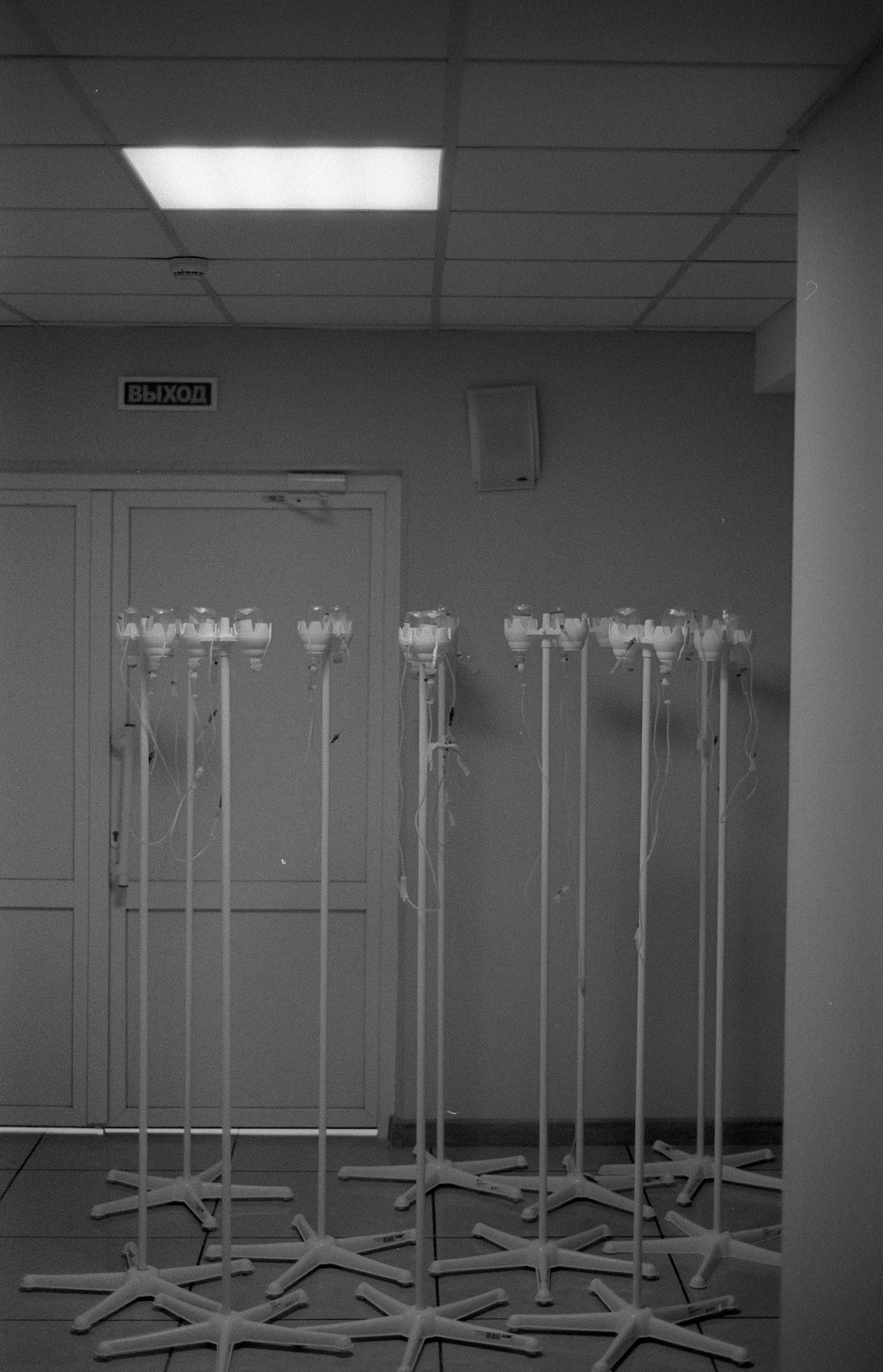 Monochromatic image of medical IV stands in a hospital room, creating a stark clinical environment.