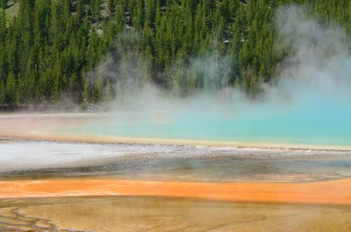 Free Vibrant geothermal hot spring with steam, showcasing natural beauty and vibrant colors in a forest setting. Stock Photo