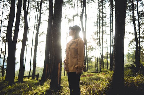 Woman Standing in Forest Illuminated by Sunlight