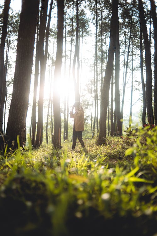 Woman Standing in Sunlight in the Forest 