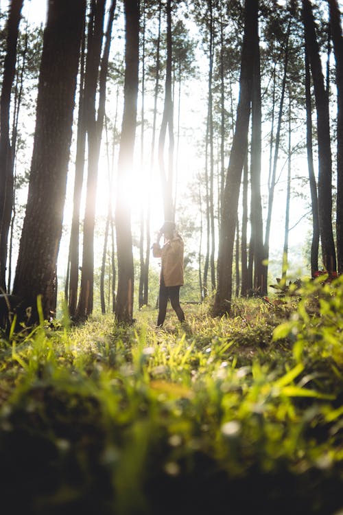 Foto stok gratis hiburan, hutan, kaum wanita