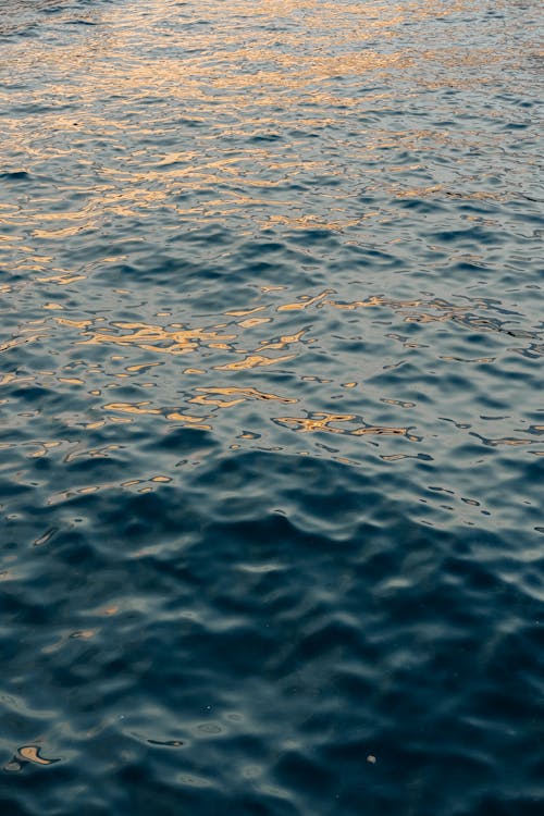 Close-up of Water Surface with Reflection of the Sunset 