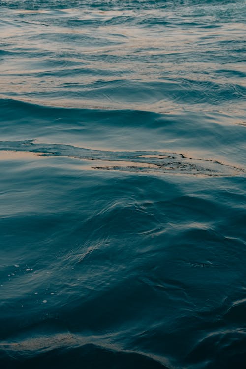 Close-up of Smooth Water Surface