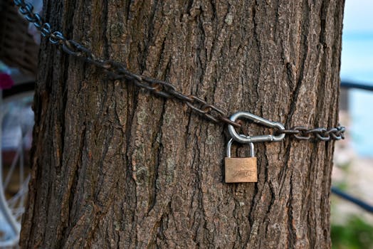 Close-up of a tree trunk secured with a chain and padlock, symbolizing security and protection.
