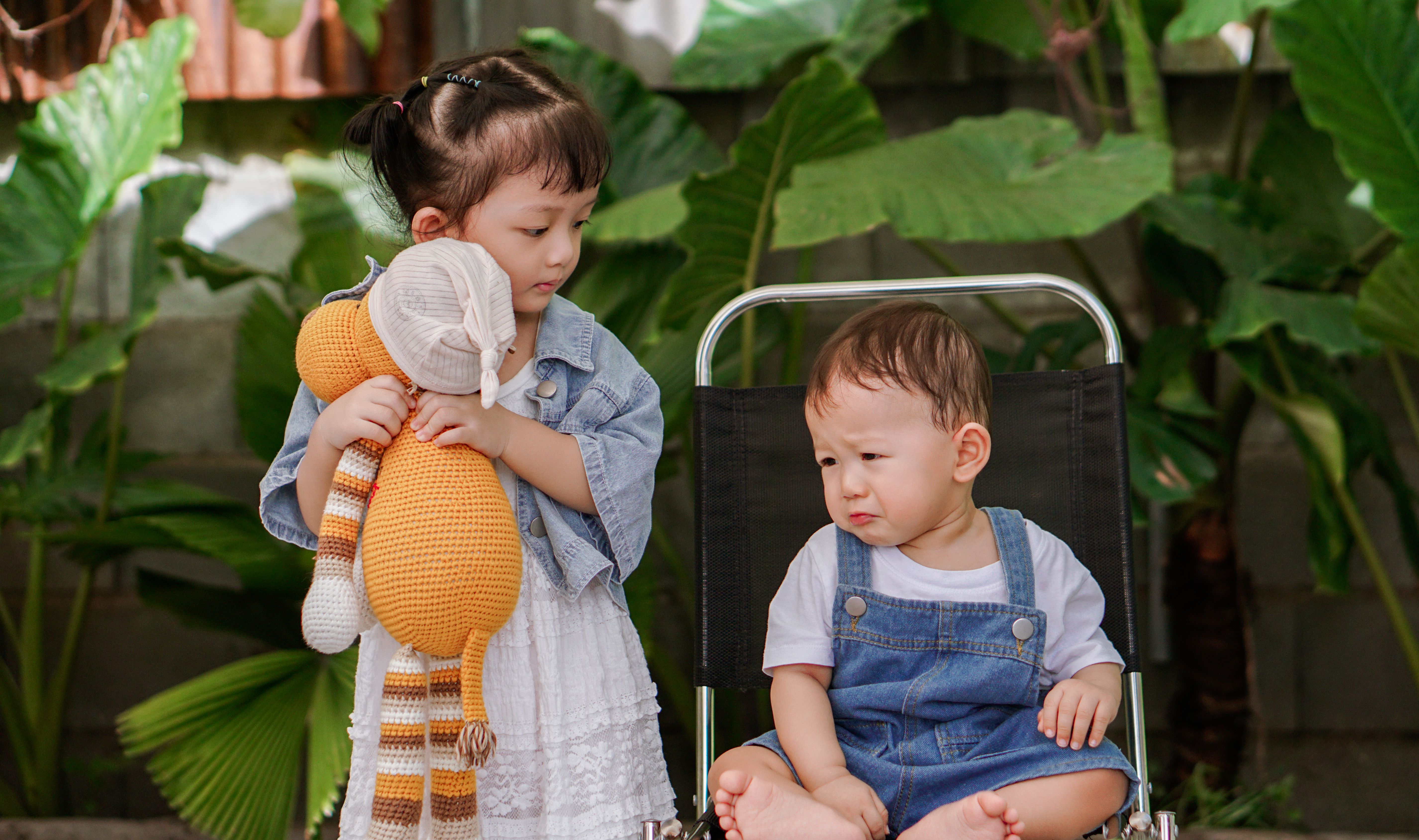 Holding Teddy Photos, Download The BEST