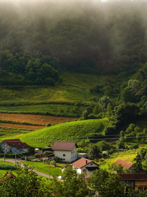 Forest around Houses in Village