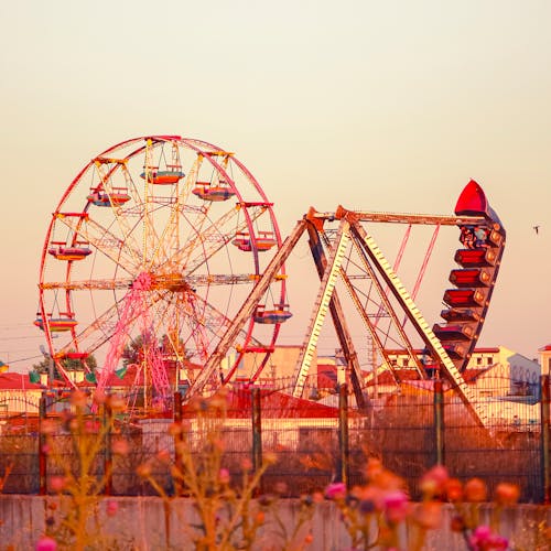 A ferris wheel and a carnival ride in the sunset