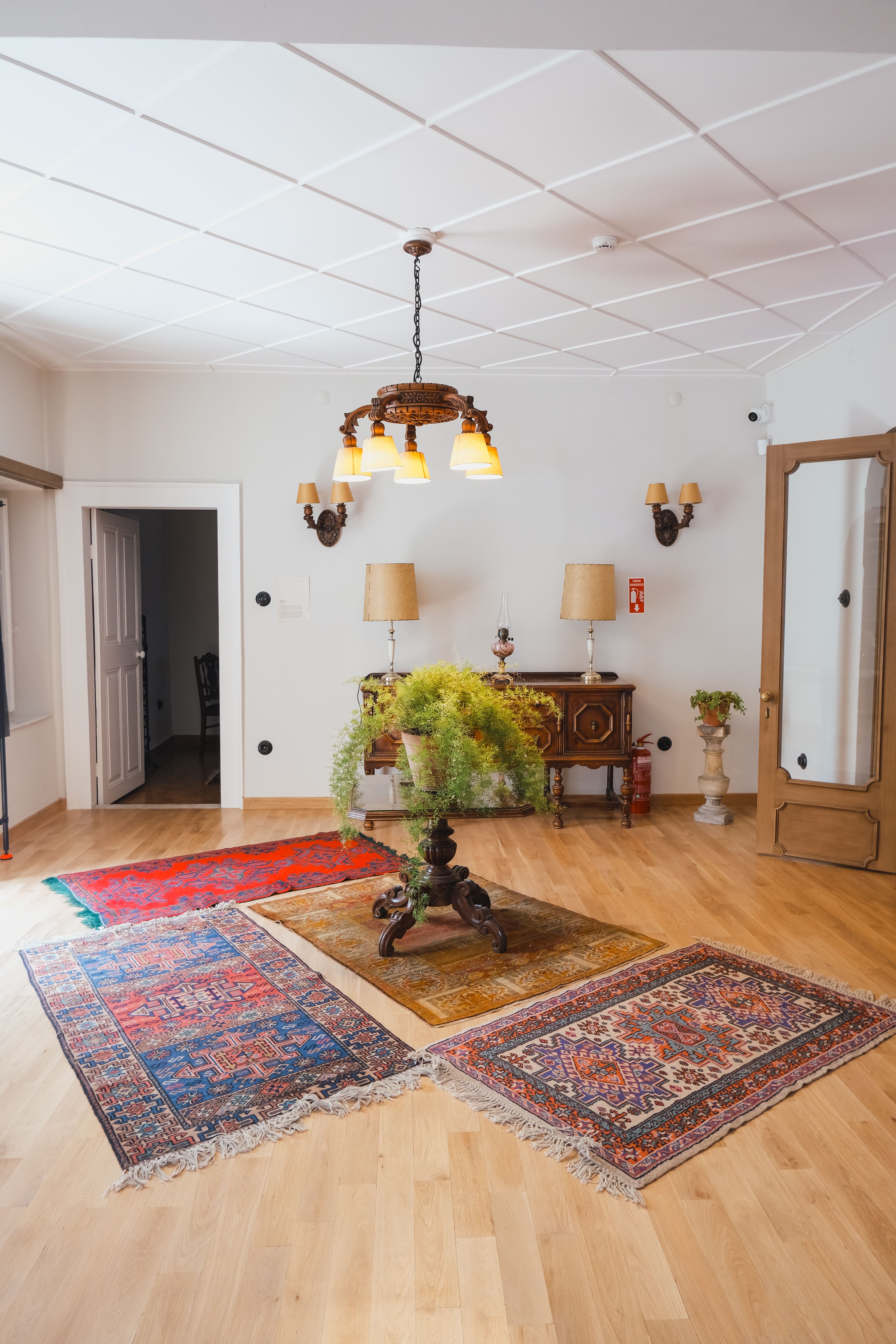 Bright room with vintage decor, oriental rugs, and indoor plants.