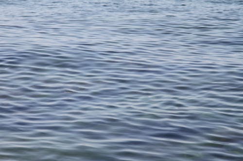 Fotos de stock gratuitas de agua, azul, calma