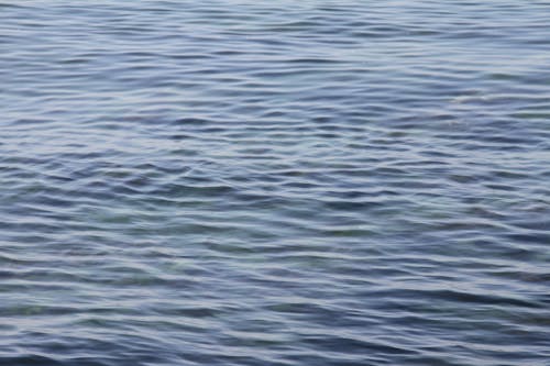 Immagine gratuita di acqua, azzurro, mare