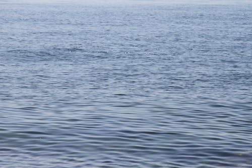 arka fon, blue, dalgalar içeren Ücretsiz stok fotoğraf