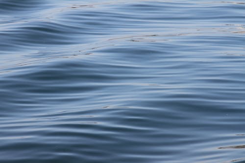 Immagine gratuita di acqua, azzurro, mare