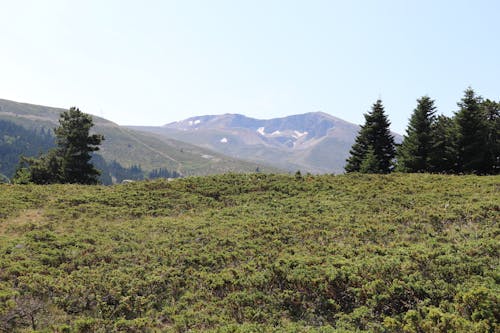 丘陵, 夏天, 山 的 免费素材图片