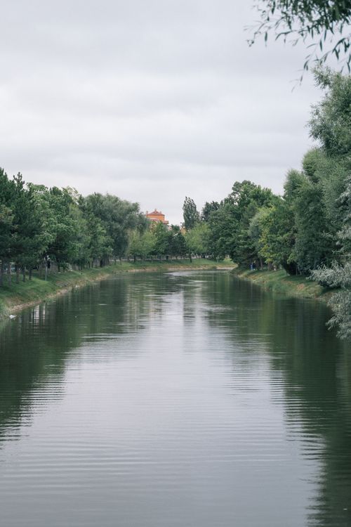 Free A tranquil river surrounded by lush green trees under an overcast sky, perfect for nature lovers. Stock Photo