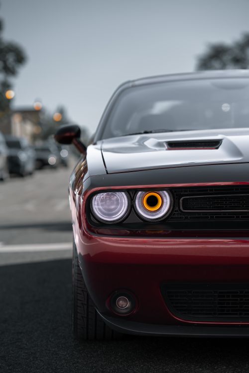 Free A striking front view of a Dodge Challenger parked on an urban street with part of the city background. Stock Photo