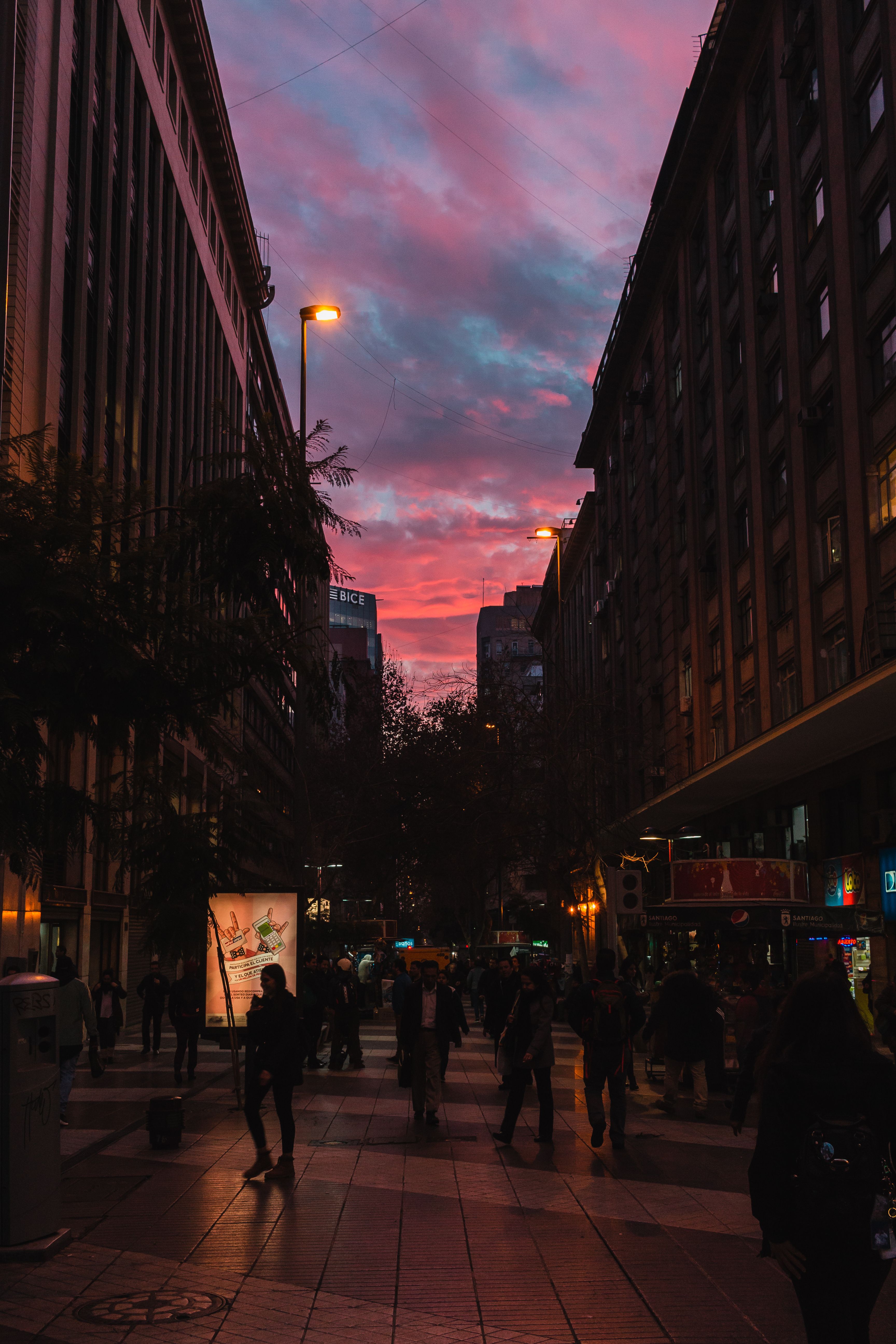 people-at-the-street-free-stock-photo