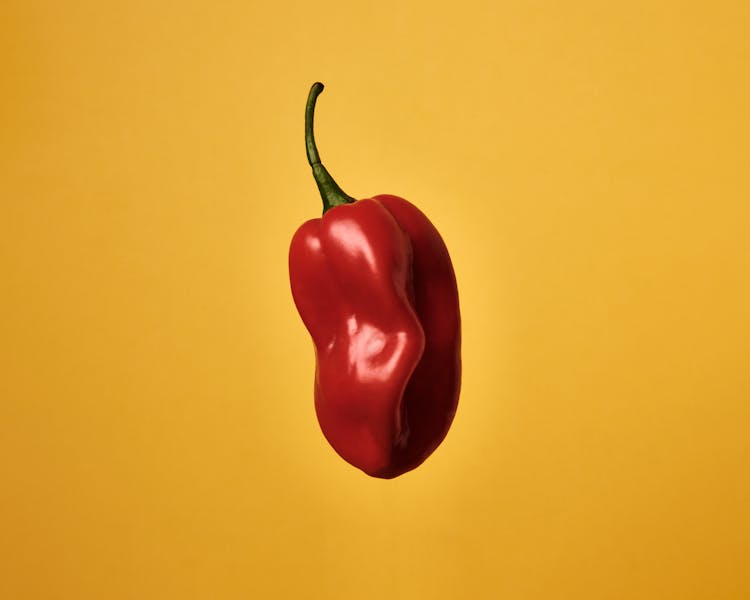 Red Habanero Pepper On Yellow Background