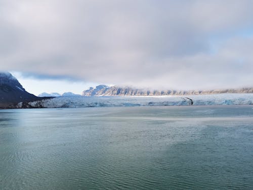 Imagine de stoc gratuită din banchiză, climă polară, coastă