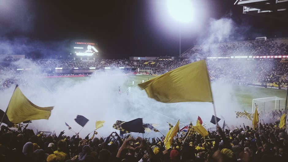 Crowd in the Football Game Field