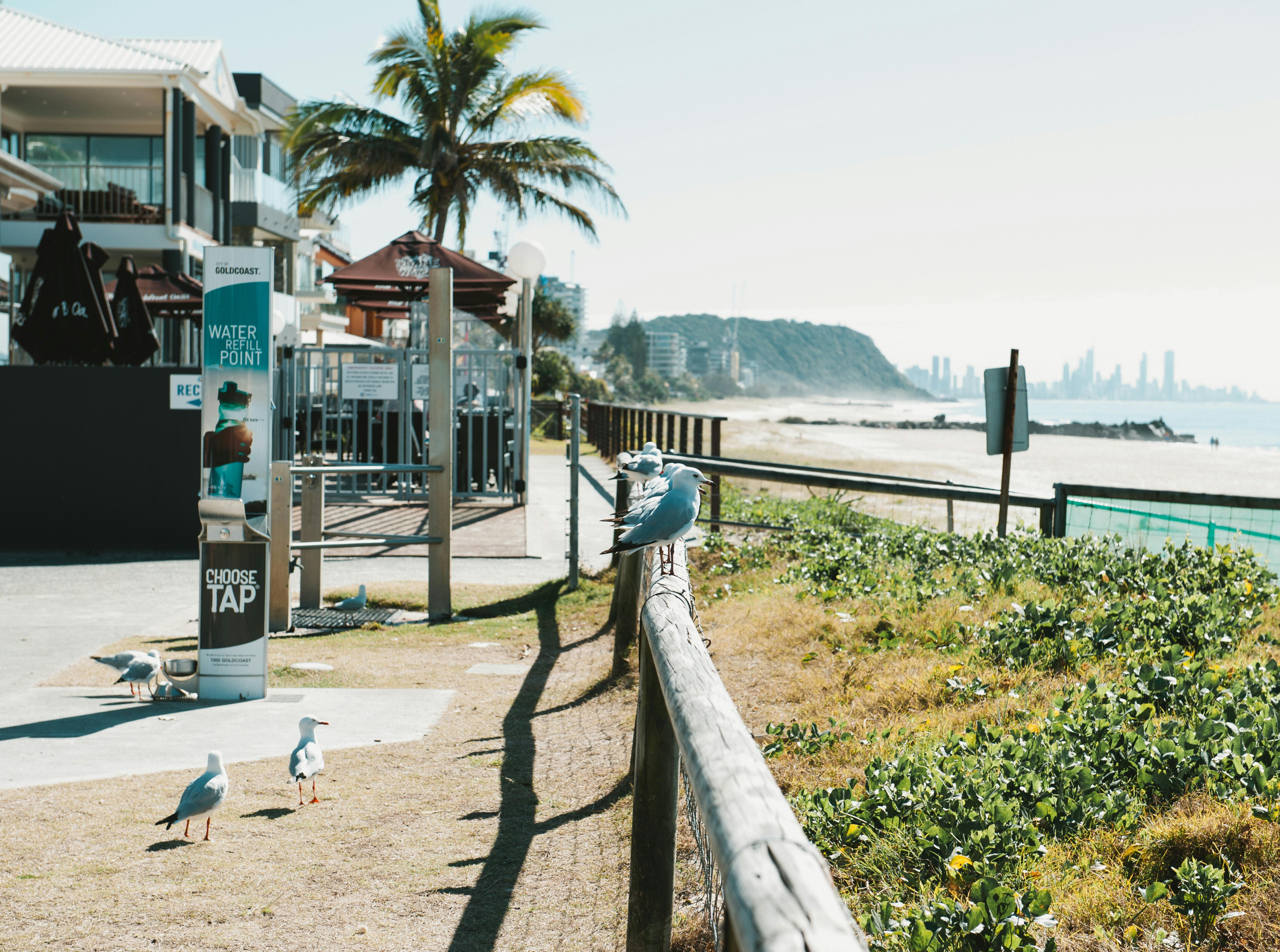 Coast Property Management agrees to settle tenant screening fee class action settlement: Claim your share — Photo by Rohi Ber