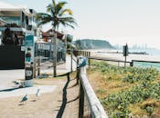 Lamington National Park – O’Reilly’s